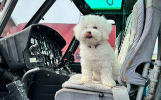 Skye's High-Flying Adventure: A Helicopter Mission