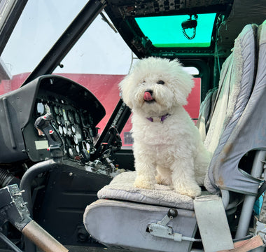 Skye's High-Flying Adventure: A Helicopter Mission