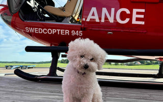 Skye's Ground Crew Duties: Pre-Flight Checks and Fueling the Helicopter