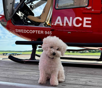 Skye's Ground Crew Duties: Pre-Flight Checks and Fueling the Helicopter