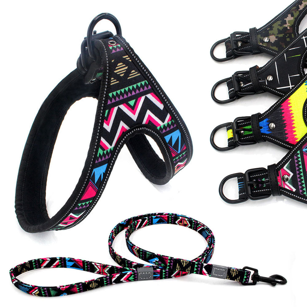 Colorful Dog Leash and Walking Rope for Small and Medium-Sized Dogs - Skye Pets