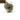 Close-up of the tennis ball and knotted rope on the dog chew toy